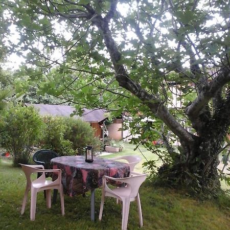 Gite L'Appel De La Foret Betplan Exteriör bild