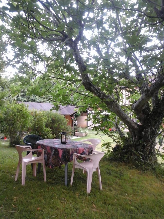 Gite L'Appel De La Foret Betplan Exteriör bild