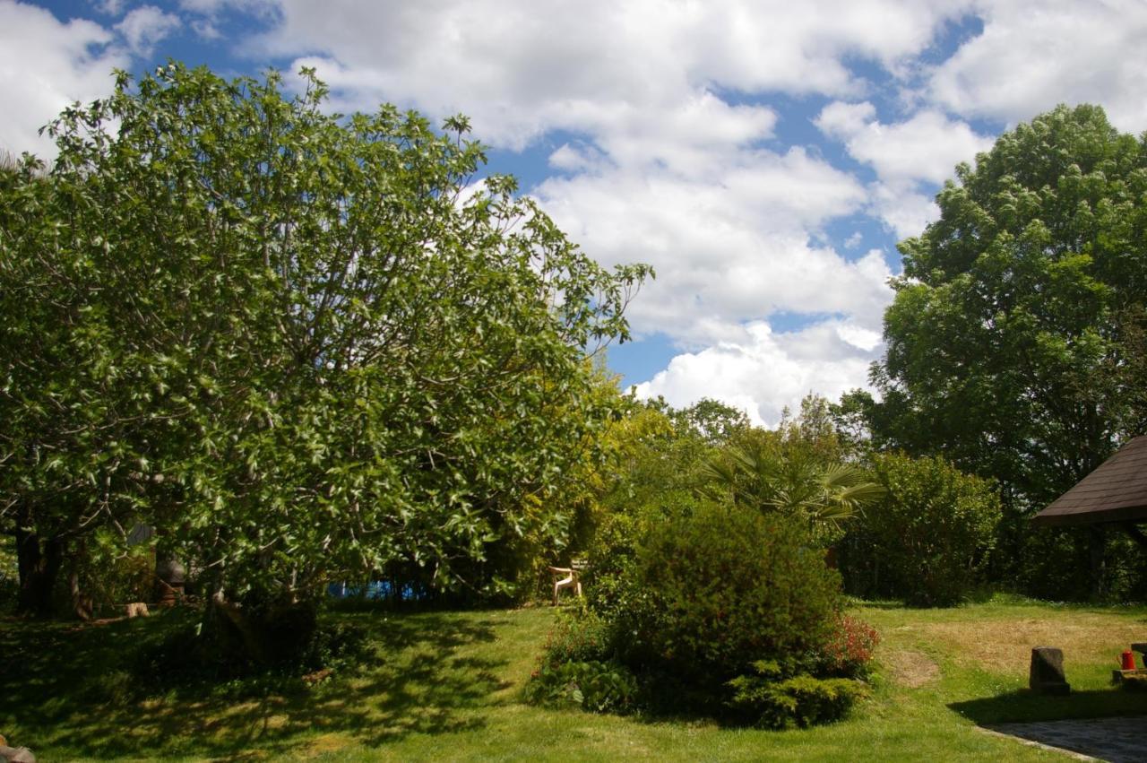 Gite L'Appel De La Foret Betplan Exteriör bild